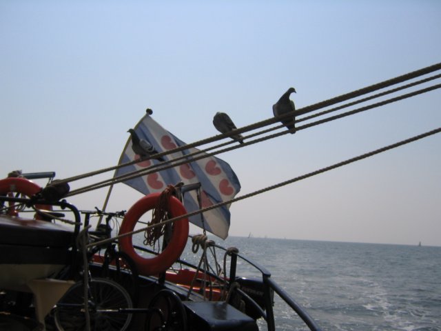 2004Zeilkamp 199.jpg